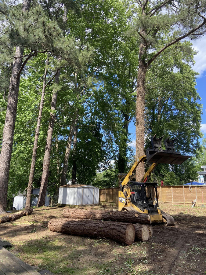 Edgars Tree Services - Our Portfolio